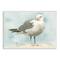 Stupell Industries Soft Focus Seagull on Waterfront Wall Plaque